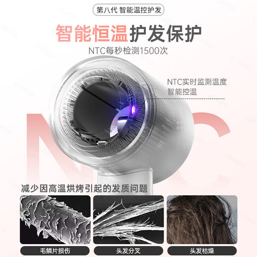 RASW German hair dryer household quiet and gentle negative ion high power does not hurt hair high-speed drying leafless hair dryer hair care dormitory baby pet ladies special portable business trip sunset rose single air nozzle intelligent temperature control new upgrade Chinese Valentine's Day gift for girlfriend and wife