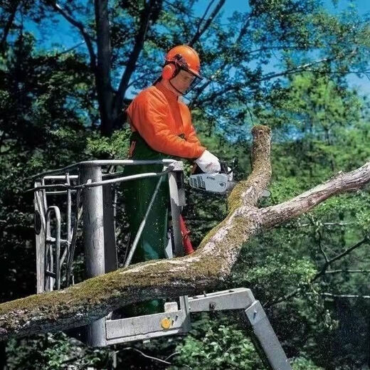 High-horsepower two-stroke pure gasoline chain saw gasoline saw logging saw oil-saving saw electric saw 20-inch two-stroke hybrid