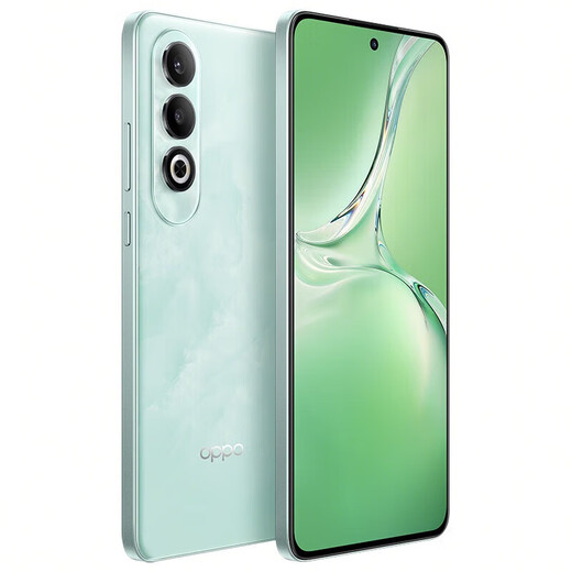 OPPO K12 5G 100W Flash Charge 5500mAh Super Long Battery Life Lifering Third-Génération Snapdragon 7 Flagship Core Straight Screw Game Game AI Phone Mobile Phone Oppo Mobile Phone K12X NingGuang Green 丨 K12X (Snapdragon 695) 12 Go + 256 Go