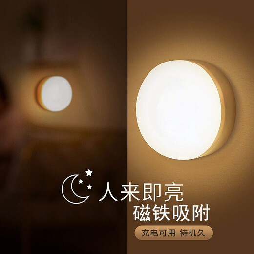 Dajiuwei Intelligent Human Body Sensor Lamp Magnet Adsorption Aisle Light Control Stair Lamp Rechargeable Home Corridor LED Night Light Human Body Sensing Model Automatic Lighting White Light