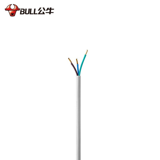 BULL new national standard socket/socket strip/wireless/self-wiring/no plug and no power cord. The total length of the plug cord is 6 meters (with 10A three-pin plug))