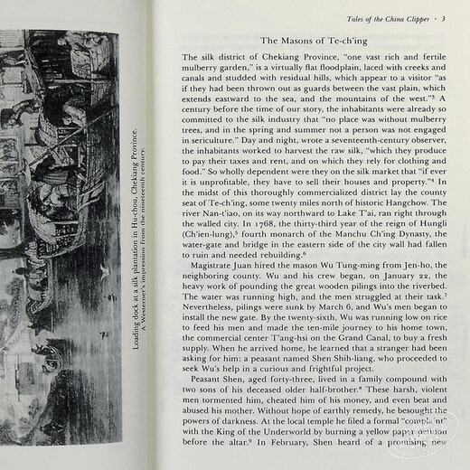 叫魂 1768年中国妖术大恐慌 英文原版 Soulstealers