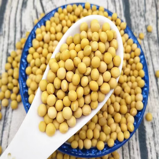 Natto Special Sojabohnen Sehr kleine 690 kleine Sojabohnen Bauern eigene Bohnen Sprossen Bohnen kleine goldene gelbe Natto Special 690 Kleine goldene Sojabohnen Nettogewicht Fünf Jin [Jin gleich 0,5 kg]