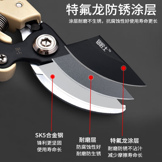 麦舒特德国精工果树剪树枝专用剪刀粗枝花剪修枝剪家用园艺省力修花 紫色