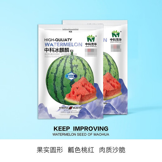 Zhongke Maohua melon and fruit seeds Zhongke Bingqilin watermelon seed improved 8424 Jingxin type replaces Meidu watermelon variety with crack resistance Zhongke Bingqilin 50 capsules/bag trial planting pack