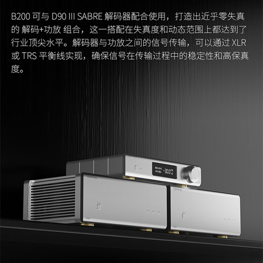 TOPPING拓品 B200 大功率单声道纯后级200W功放HiFi台式音箱功率放大器 B200黑色