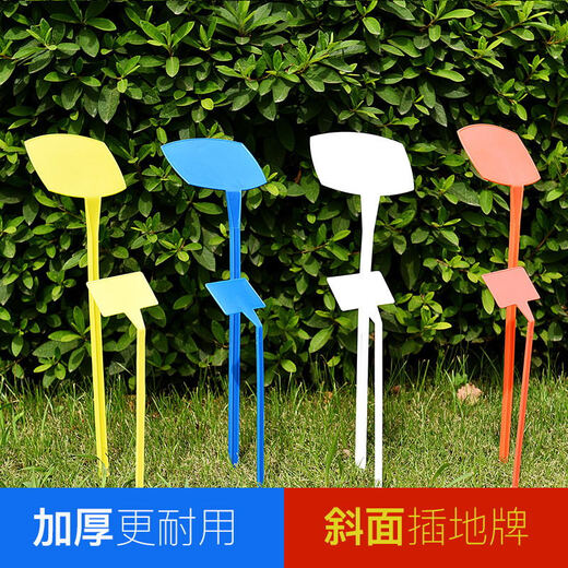 Бен Синнонг Различные характеристики Многоцветные пластиковые большие наземные знаки Садовые этикетки Садовые таблички Инструкции Наземные знаки 30 фасок зеленого цвета 10 шт. Можно писать карандашом