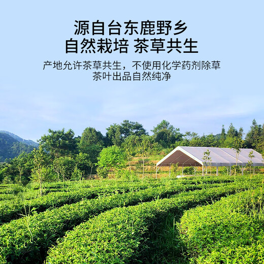 T9 Legendärer Alpine Honig Duft Red Oolong Tee, trinken chinesischen Taiwan-Tee selbst und geben Sie ihn den Ältesten für importierte High-End-Geschenkbox Single 100g* 1 Box