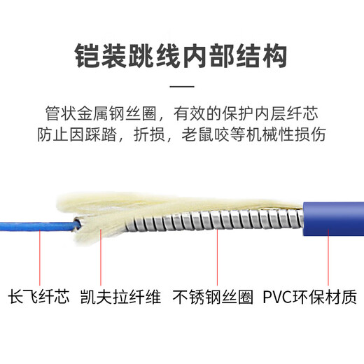 Armored fiber optic patch cord SC to LC-FC-ST rat-proof and tensile-resistant single-mode single-core 10M/30/50m pigtail extension Carrier-grade armored single-mode single-core FC-FC 20m