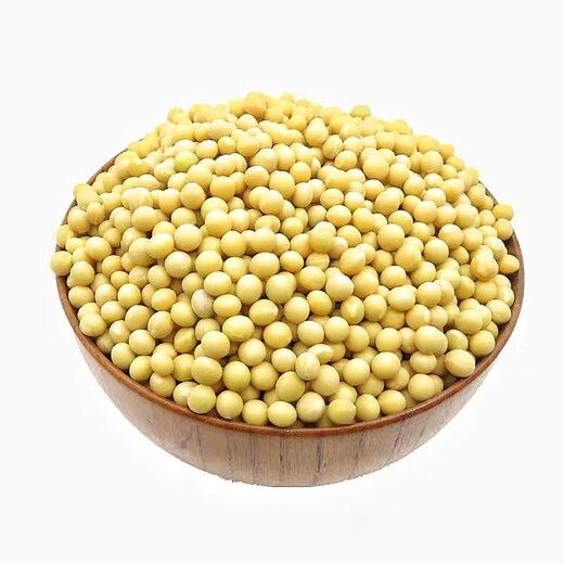 Natto Special Sojabohnen Sehr kleine 690 kleine Sojabohnen Bauern eigene Bohnen Sprossen Bohnen kleine goldene gelbe Natto Special 690 Kleine goldene Sojabohnen Nettogewicht Fünf Jin [Jin gleich 0,5 kg]