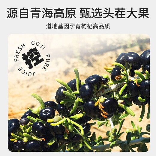 惠寻黑枸杞原浆 300ml(30ml*10袋)青海黑枸杞 花青素NFC