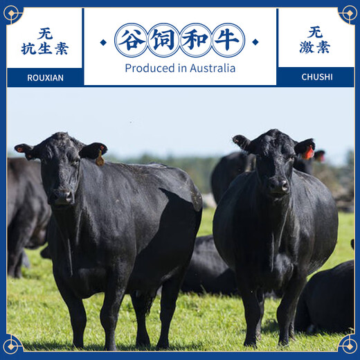 Meat Chef Wagyu M5 grain-fed raw beef slices, net weight 250g, Australian beef rolls, snowflake beef hot pot ingredients