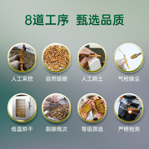 藏汐堂冬虫夏草3根/g 20克 60根装高海拔干虫草头期冬虫草滋补礼盒