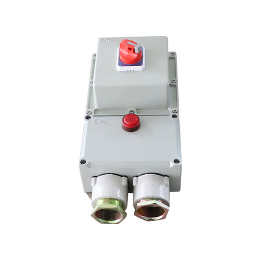 Suitable for explosion-proof circuit breaker 10A16A20A32a40A63A100A explosion-proof distribution box 380V2p3P4P leakage 100A/380V/4P (with leakage)