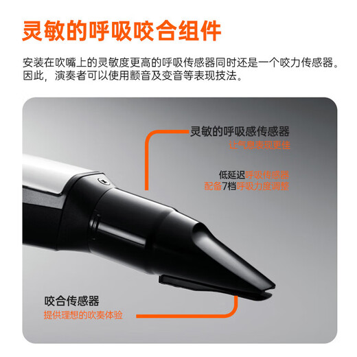 
Roland (Roland) AE20 electric hair tube electronic saxophone blow tube adult elderly electronic tube blowing instrument + piano bag + battery