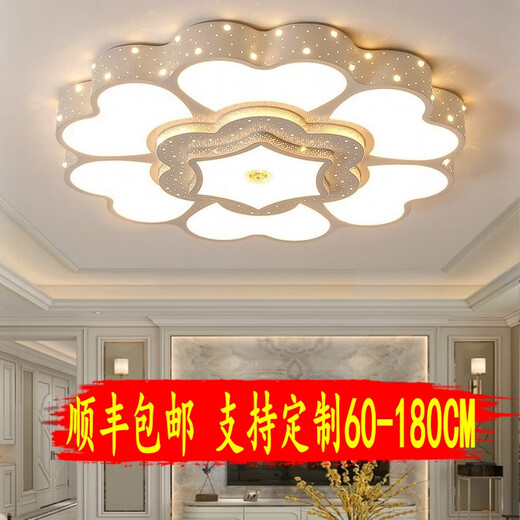 三栖虎2025年新款客厅灯大灯简约现代圆形大厅灯大尺寸花朵led吸顶灯具 1W 全光谱护眼-RA9713