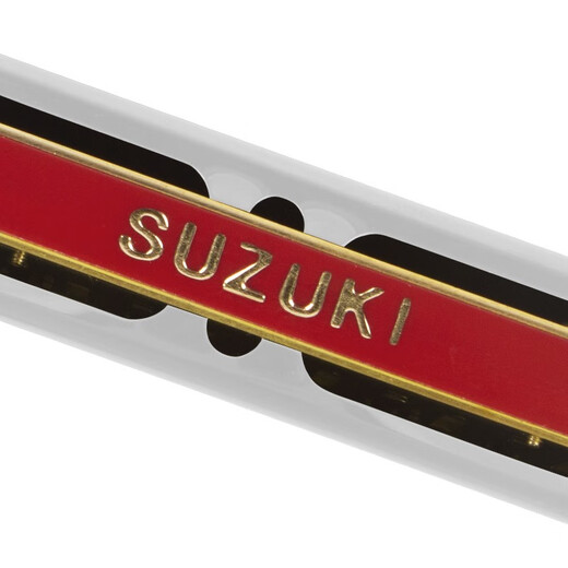 Suzuki (Suzuki) 24-Loch Polyphonische Harmonika Studie-24-Schüler verwenden Klassenzimmerunterricht Anfänger C, um das Einführungsinstrument für erwachsene Einführung in 24-Loch-C anzupassen, um Silber anzupassen [Standard]