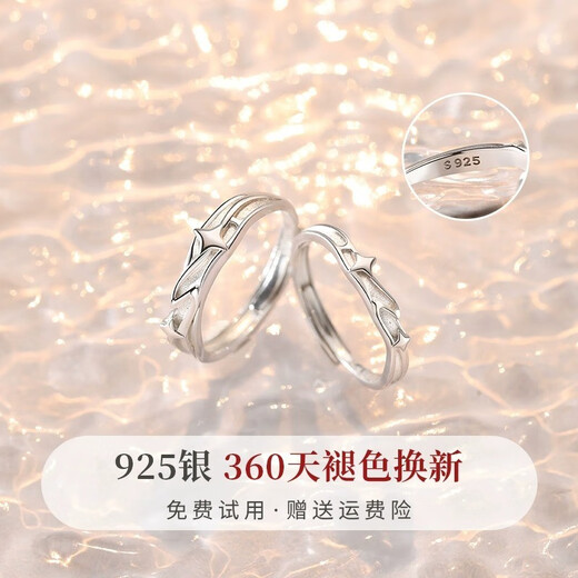 EothS925 Silver Galaxy Couple Ring Girls' Pair of Rings Niche Design Chinese Valentine's Day Birthday Gift for Girlfriend Galaxy Couple Ring + Gift Box Packaging