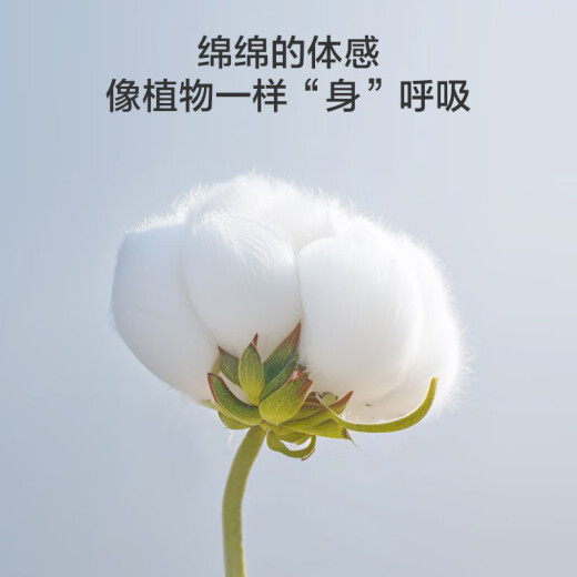 京东京造[2件装]男背心男纯棉透气吸汗打底全棉男汗衫工字背心白+白2XL