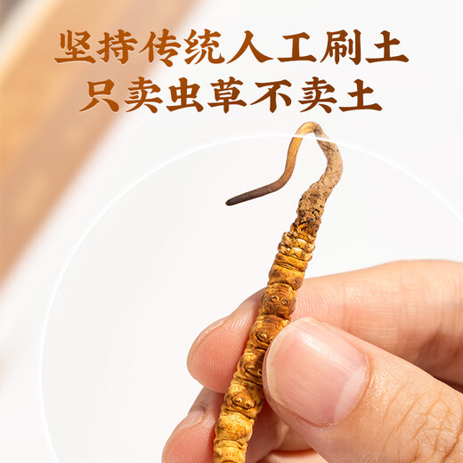 雷允上冬虫夏草冬虫夏草精选品质高洁净虫草送父母送亲友礼物送礼送长辈 冻干虫草A40-20g