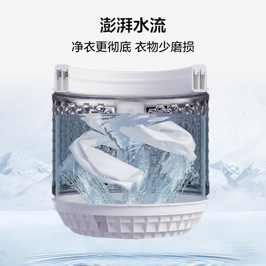 TCL 8公斤抗菌波轮洗衣机小型V2 除螨洗 宿舍租房 全自动家用 家电国家补贴 以旧换新 送装一体B80V2