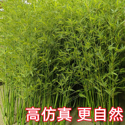 Hua e flow simulated bamboo outdoor decoration fake bamboo simulated plant landscaping bionic bamboo outdoor green plants 2.5 meters high 100 roots