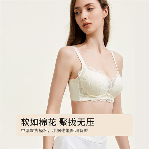 都市丽人内衣女小胸聚拢软支撑性感文胸蕾丝胸罩2B351M