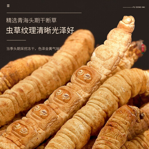 福东海 冬虫夏草10克 一级干断草 青海高品质虫草饱满礼盒滋补品送礼