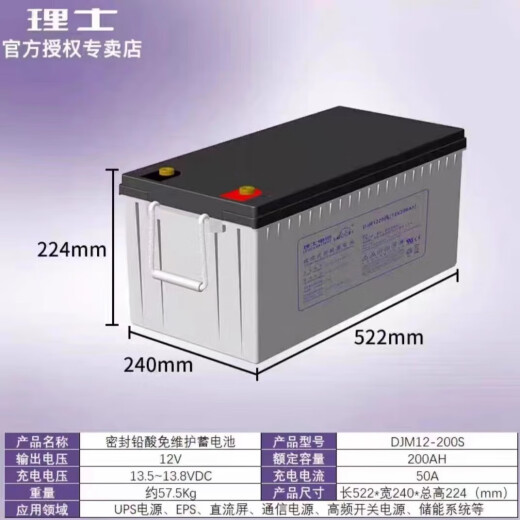 LEOCH理士蓄电池DJM12200S铅酸免维护12V200AH机房UPS/EPS船舶光伏电瓶 DJM12200S（12V200AH)