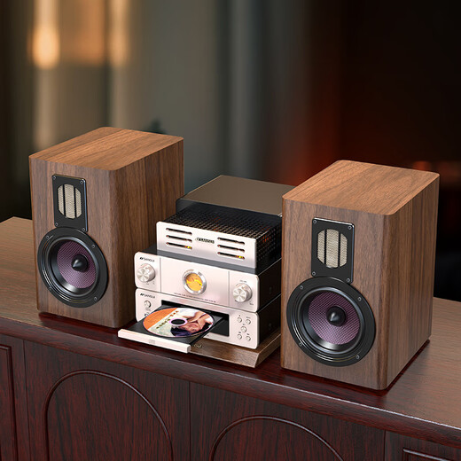 Shanshui N7 Heimkino Active Speaker Hifi Bulb Machine Kombination Audioverstärker All-in-One-Wireless Bluetooth-Lautsprecher Subwoofer hochwertiger Home Desktop Audio-CD-Player N7 Lampenmaschinen-Stromverstärker CD-Wiedergabe Audio-Set