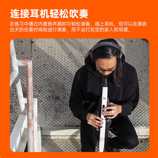 
Roland (Roland) AE20 electric hair tube electronic saxophone blow tube adult elderly electronic tube blowing instrument + piano bag + battery