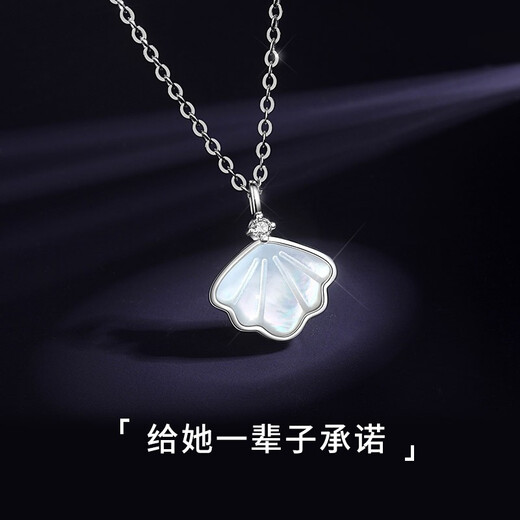 Mini&yayaS925 silver necklace for women, practical gift for girlfriend and wife on Women's Anniversary Day, Birthday, Valentine's Day, Set Necklace + Earrings