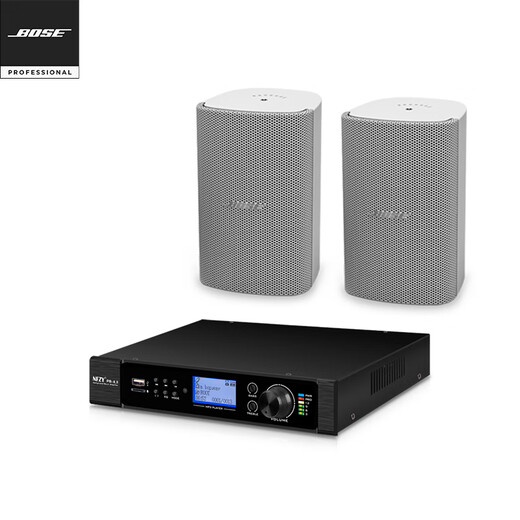 Bose DM2C-LP吸顶 FS2SE壁挂音箱 博士商用家庭蓝牙背景音乐套装 FS2SE白*2 + PS-6.0功放