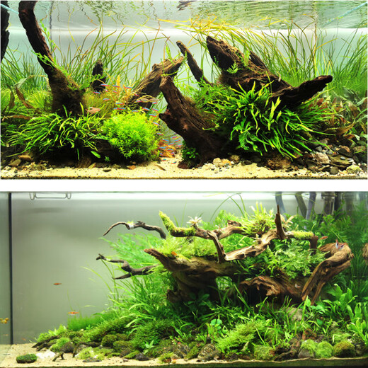 OIMG鱼缸造景沉木天然紫柚木晒龟台树桩拱桥水族箱装饰小号木晒台木头 巧克力色 16856秒沉