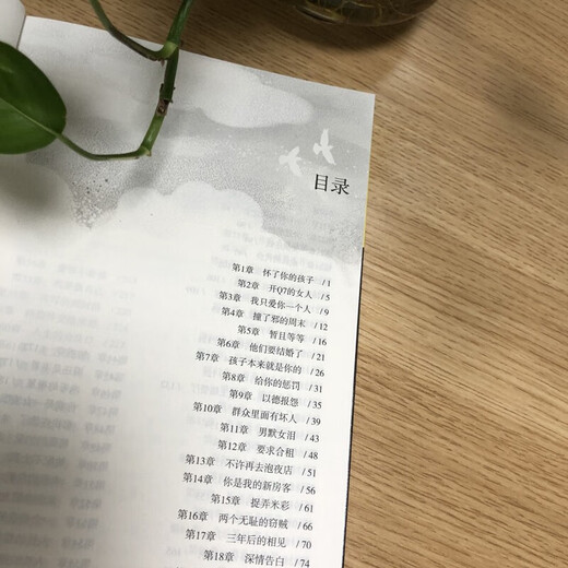 [Dangdang Genuine] Sky City Roman 12345 ursprünglich meine 26-jährige Mieterin meiner 26-jährigen Mieterin 5 Bände Super Big Tank Kobe Chinese Online Pure Love Stream Repräsentant Urban Popular Love Romance Online Emotionale Bücher Sky City 1