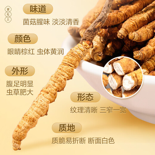 3.5 wild Cordyceps sinensis /g 30g about 105 Cordyceps sinensis gift box for leaders tonic