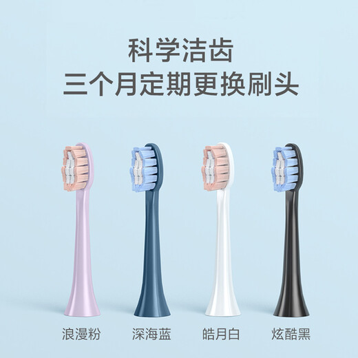 FLYCO electric toothbrush head compatible with model FT7105/FT7106/FT7205 TH01 romantic powder 1 pack