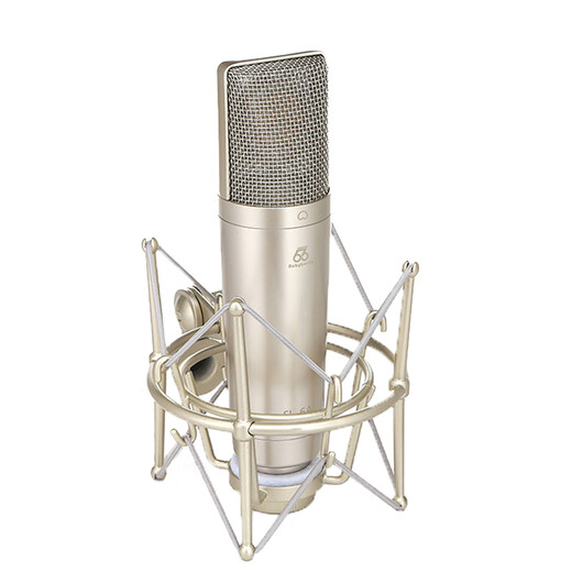 BABYBOTTLE SL-6A large diaphragm cardioid condenser microphone entry-level vocal recording microphone 66 microphones SL-6A