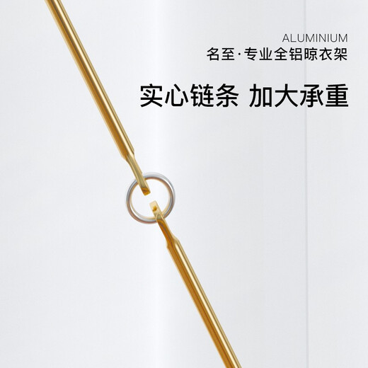 名至（mingzhi） 晾袜子架晒衣夹衣架多夹子 凉袜架子挂钩铝合金圆形多功能衣架 【679香槟金】38夹（防风款）