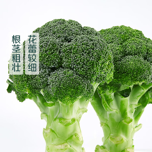 Shuangdacai plateau broccoli about 400g