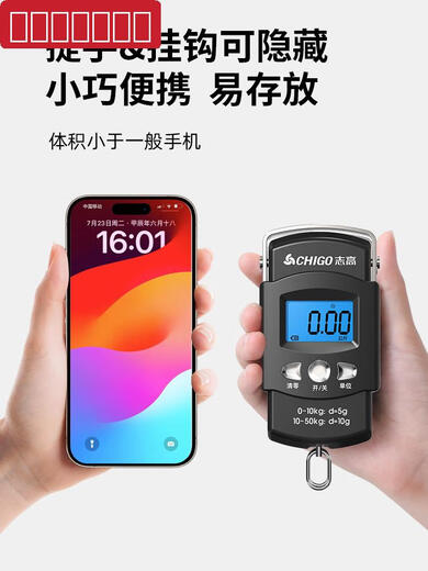 志高手提电子秤便携式高精度家用行李称挂钩称小型精准弹簧秤3524 志高品牌质量有保障