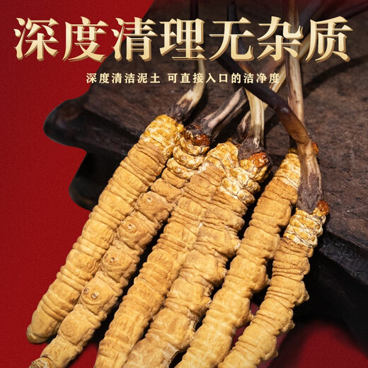 山威 冬虫夏草5克 精选一级品质4条/g虫草礼盒送领导见贵人高端礼物