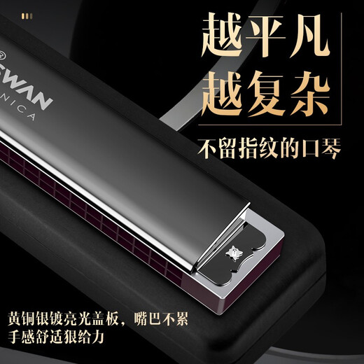天鹅（SWAN）德国进口音簧天鹅28孔复音C调口琴专业演奏级高级成人儿童初学者 【【高端演奏款】】28孔金色复音口琴