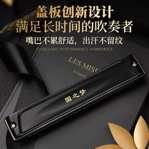 Guoguang Importé Gong Guoguang harmonica authentique en polyphonique 24 trous # A / B / C / D / F / G Tune / F / F / G Tune / F / Adult Professional Performance Niveau #G Tune (A-FLOAT)