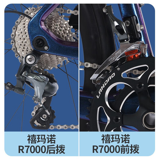 飞鸽（FLYING PIGEON）飞鸽碳纤维全内走线公路自行车油刹成人男女通勤学生车赛跑车 22速 铝车圈-禧玛诺R7020- 骑士黑 460架高（建议身高165-180cm）
