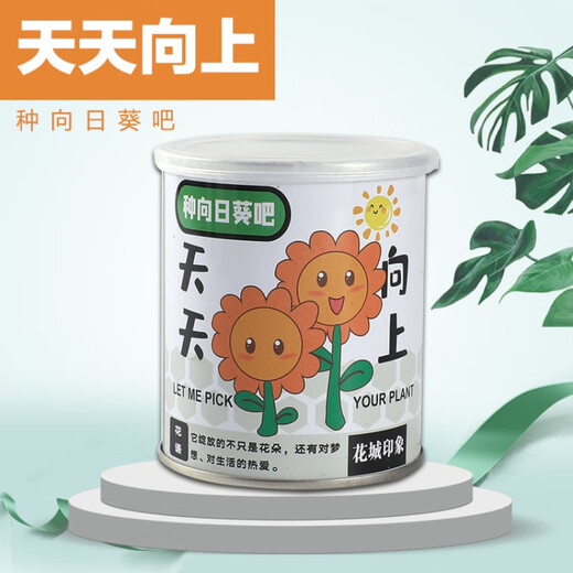 Children's canned plants magical desktop mini green plants creative small potted strawberry sunflower seeds blooming random 4 cans