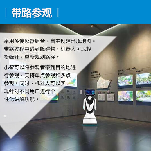 华沃智伴展厅接待机器人迎宾讲解带路互动安防巡逻商用服务机器人商场学校博物馆大厅人形机器人 白色（整机）