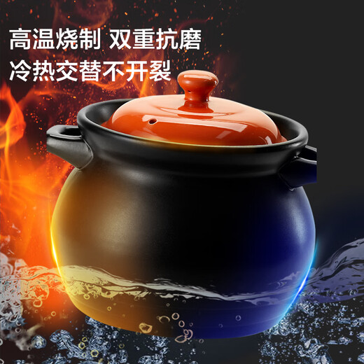 Made in Tokyo, casserole for soup, medicine, porridge and rice, stew pot, health soup pot, open fire use, sea tripe stew casserole 3.8L