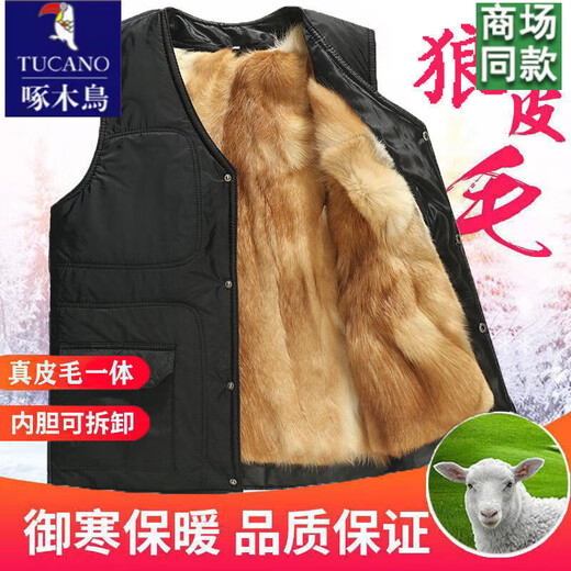 啄木鸟秋冬中老年皮毛一体羊毛背心真皮加厚保暖棉马甲男羊皮坎肩爸爸装 黄色内胆可拆卸 2XL(体重120-140斤)