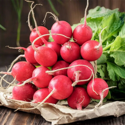 Four seasons popular radish seeds, radish seeds, balcony four-season potted vegetable seeds, red cherry radish seeds, 1 pack, about 300 pieces